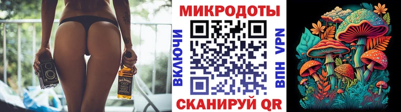 Псилоцибиновые грибы GOLDEN TEACHER  Лыткарино 