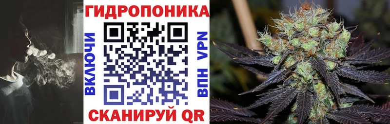 Шишки марихуана White Widow  shop официальный сайт  Лыткарино  где можно купить наркотик 